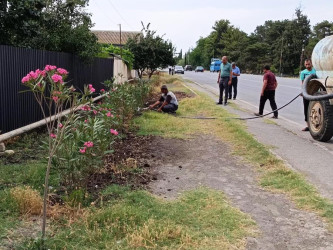 Goranboyda yeni salınmış yaşıllıq zolaqlarına aqrotexniki qulluğun göstərilməsi işləri davam etdirilir