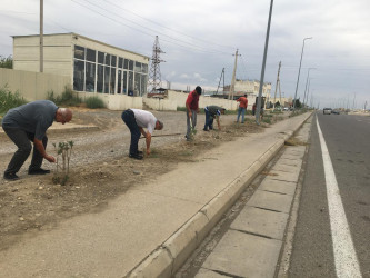 Goranboyda yol kənarında ağaclar suvarıldı, məişət tullantıları təmizləndi