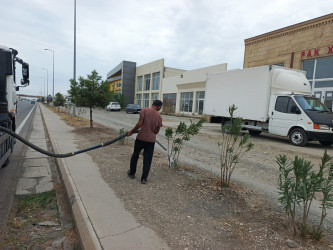 Goranboyda yol kənarında ağaclar suvarıldı, məişət tullantıları təmizləndi