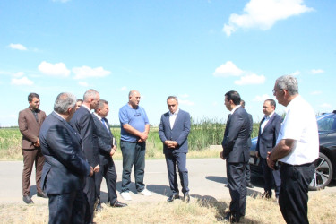 Goranboyda aqrar sahədə görülən işlər diqqət mərkəzindədir