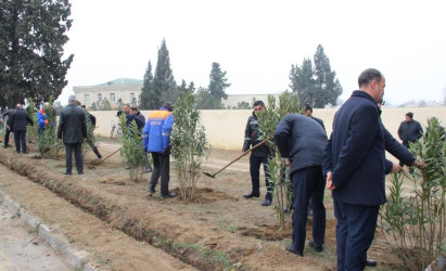 Goranboyda,  Ümummilli Liderimiz Heydər Əliyevin Anım Günü ilə bağlı,  ağacəkmə aksiyası keçirildi