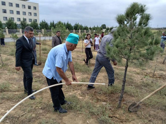 Goranboyda "Yaşıl dünya naminə həmrəylik ili" ilə bağlı, silsilə tədbirlər davam etdirilir.