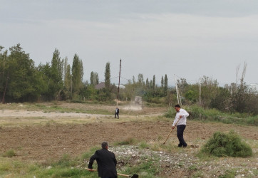 Goranboy rayonunda əsas turizm marşurutları üzrə yolkənarı ərazilərdə ümumrayon iməciliyi təşkil olundu, təmizlik, abadlıq işləri aparıldı.