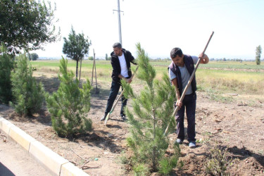 Goranboyda  “27 sentyabr –Anım Günü” ilə bağlı ağacəkmə aksiyası keçirildi