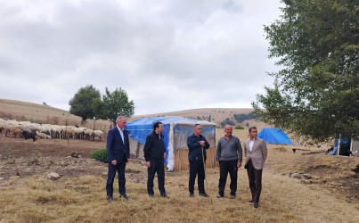 Goranboyda İcra Başçısı və deputat Gülüstan yaylağına köç etmiş qoyunçuluq təsərrüfatlarında oldular