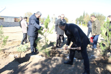 Goranboyda,  “8 noyabr Zəfər Günü” və  “Yaşıl dünya naminə həmrəylik ili“  ilə bağlı,  ağacəkmə aksiyası təşkil olundu