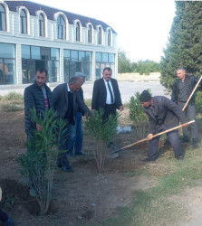 "Yaşıl dünya naminə həmrəylik ili" çərçivəsində  Qızılhacılı qəsəbəsində həyata keçirilən ağacəkmə aksiyasında fəal iştirak edən qəsəbə sakinləri də aksiyaya öz töhfələrini verirlər.