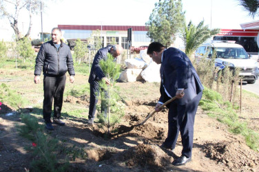 Goranboyda,  “8 noyabr Zəfər Günü” və  “Yaşıl dünya naminə həmrəylik ili“  ilə bağlı,  ağacəkmə aksiyası təşkil olundu