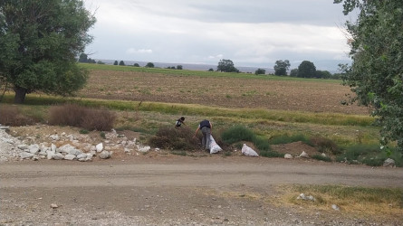 Goranboyda yol kənarında ağaclar suvarıldı, məişət tullantıları təmizləndi
