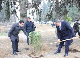 Goranboyda,  Ümummilli Liderimiz Heydər Əliyevin Anım Günü ilə bağlı,  ağacəkmə aksiyası keçirildi