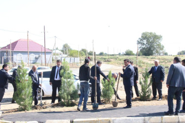 Goranboyda  “27 sentyabr –Anım Günü” ilə bağlı ağacəkmə aksiyası keçirildi