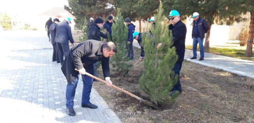 Goranboyda, “2023-cü il-Heydər Əliyev ili” ilə bağlı, ağacəkmə aksiyası keçirildi.