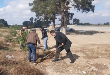 Goranboyda, "Yaşıl dünya naminə həmrəylik ili" çərçivəsində həyata keçirilən kütləvi ağacəkmə  aksiyasına  Borsunlu və Nadirkənd kəndlərinin sakinləri də fəal qoşuldular.