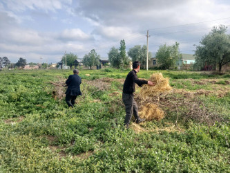 Goranboyda “Şəhərsalma və Memarlıq İli” və beynəlxalq velosiped yarışına hazırlıq işləri çərçivəsində ümumrayon iməcliyi davam etdirilir