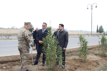 Goranboyda,  Ümummilli Liderimiz Heydər Əliyevin Anım Günü ilə bağlı,  ağacəkmə aksiyası keçirildi