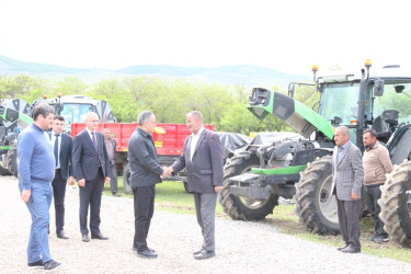 Goranboyda aqrar sektorun aparıcı sahələrindən biri olan tütünçülük inkişaf etdirilir