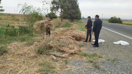Goranboyda yol kənarında ağaclar suvarıldı, məişət tullantıları təmizləndi