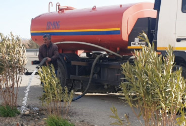Goranboyda yeni salınmış yaşıllıq zolaqlarına aqrotexniki qulluq işləri davam etdirilir