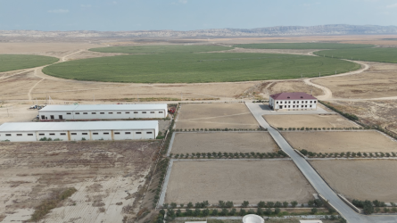 Goranboyda aqrar sahədə yeni layihələrin icrası ilə bağlı monitorinq aparıldı