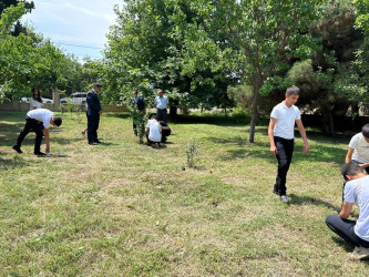 "Yaşıl dünya naminə həmrəylik ili" ilə bağlı, Quşçular kənd tam orta məktəbində  tədbir keçirildi.