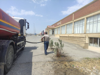 Goranboyda yolkənarı ərazilərin məişət tullantılarından təmizlənməsi işləri aparıldı, ağac və gül kolları suvarıldı