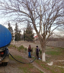 Goranboyda yeni salınmış yaşıllıq zolaqlarına aqrotexniki qulluq işləri davam etdirilir
