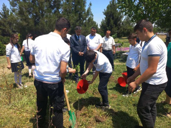 Nərimanlı kəndində  "Yaşıl dünya naminə həmrəylik ili"  ilə bağlı, tədbir keçirildi.