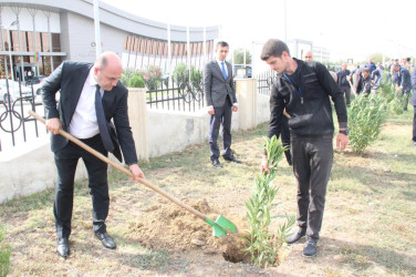 Goranboyda, “27 sentyabr – Anım Günü” ilə bağlı ağacəkmə aksiyası keçirildi.