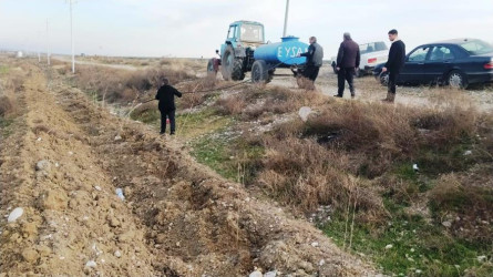 Goranboyda yeni salınmış yaşıllıq zolaqlarına aqrotexniki qulluq işləri davam etdirilir