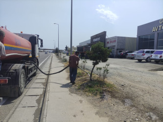 Goranboyda yolkənarı ərazilərin məişət tullantılarından təmizlənməsi işləri aparıldı, ağac və gül kolları suvarıldı