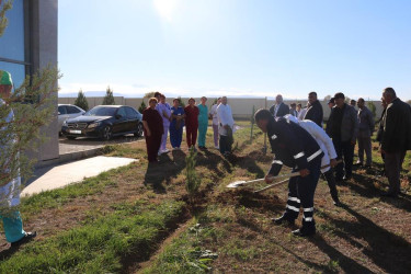 Goranboyda, Yaşıl dünya naminə həmrəylik ili və 8 noyabr Zəfər günü ilə bağlı,  “Təbiəti də sağaldaq” devizi altında ağacəkmə aksiyası keçirildi