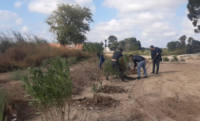 Goranboyda, "Yaşıl dünya naminə həmrəylik ili" çərçivəsində həyata keçirilən kütləvi ağacəkmə  aksiyasına  Borsunlu və Nadirkənd kəndlərinin sakinləri də fəal qoşuldular.