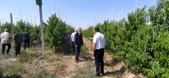 Goranboyda müasir suvarma sistemlərinin tətbiqi və genişləndirilməsi istiqamətində fermer və sahibkarlarla maarifləndirici görüş keçirildi