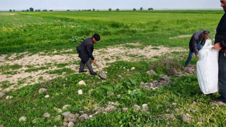 Goranboyda “Şəhərsalma və Memarlıq ili” və beynəlxalq veloyarışa hazırlıq çərçivəsində abadlıq işləri davam etdirilir