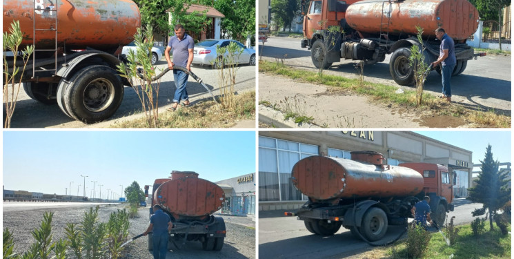 Goranboyda yeni salınmış yaşıllıq zolaqlarına aqrotexniki qulluq işləri davam etdirilir