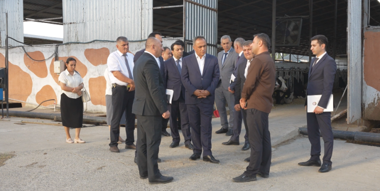 Goranboyda Dövlət Proqramının icrası ilə bağlı layihələr təhlil olunur
