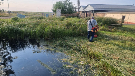 Goranboyda abadlıq və yenidənqurma işləri davam etdirilir