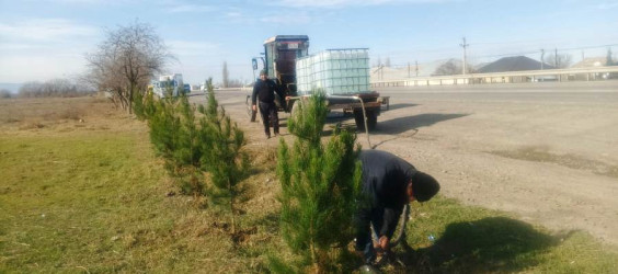 Goranboyda “Şəhərsalma və Memarlıq İli” çərçivəsində ağacəkmə aksiyası keçirildi