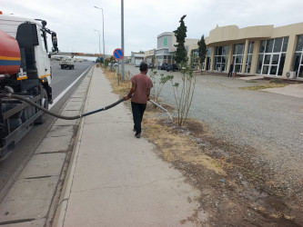 Goranboyda yol kənarında ağaclar suvarıldı, məişət tullantıları təmizləndi