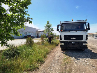 Goranboyda  yolətrafı ərazilərdə yaşıllıq zolaqlarına aqrotexniki qulluq işləri görüldü