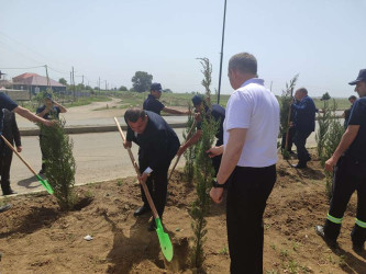 Goranboyda, "Yaşıl dünya naminə həmrəylik ili" ilə bağlı, növbəti ağacəkmə aksiyası keçirildi.