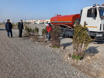 Goranboyda yeni salınmış yaşıllıq zolaqlarına aqrotexniki qulluq işləri davam etdirilir