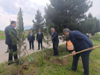 Goranboyda “Şəhərsalma və Memarlıq İli” çərçivəsində Ümummilli Lider Heydər Əliyevin anadan olmasının 103-cü ildönümü ilə bağlı ağacəkmə aksiyası keçirildi