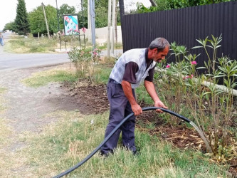 Goranboyda yeni salınmış yaşıllıq zolaqlarına aqrotexniki qulluğun göstərilməsi işləri davam etdirilir