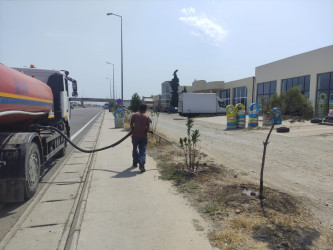 Goranboyda yolkənarı ərazilərin məişət tullantılarından təmizlənməsi işləri aparıldı, ağac və gül kolları suvarıldı