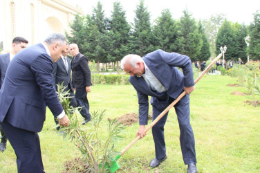 Goranboyda Ümummilli Liderimiz Heydər Əliyevin anadan olmasının 101-ci ildönümü ilə bağlı, 101 ədəd ağac əkildi.