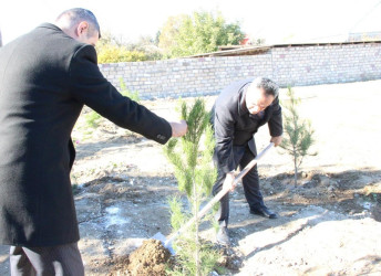 Goranboyda,  “8 noyabr Zəfər Günü” və  “Yaşıl dünya naminə həmrəylik ili“  ilə bağlı,  ağacəkmə aksiyası təşkil olundu