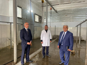 Goranboyda Qurban bayramı münasibətilə vətəndaşlara sağlam və təhlükəsiz ət məhsullarının təqdim olunmasını təmin etmək məqsədilə rayonda fəaliyyət göstərən ət kəsimi məntəqəsinə baxış keçirildi