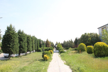 Gülə, çiçəyə bürünən Goranboy