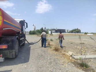 Goranboyda yolkənarı ərazilərin məişət tullantılarından təmizlənməsi işləri aparıldı, ağac və gül kolları suvarıldı